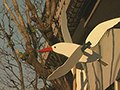 常盤台神経科の入院森田療法 写真5