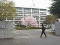 常盤台神経科の入院森田療法 写真50