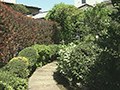 常盤台神経科の入院森田療法 写真56